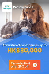 MoneyHero Online Insurance Platform: Quote and Apply in One Go